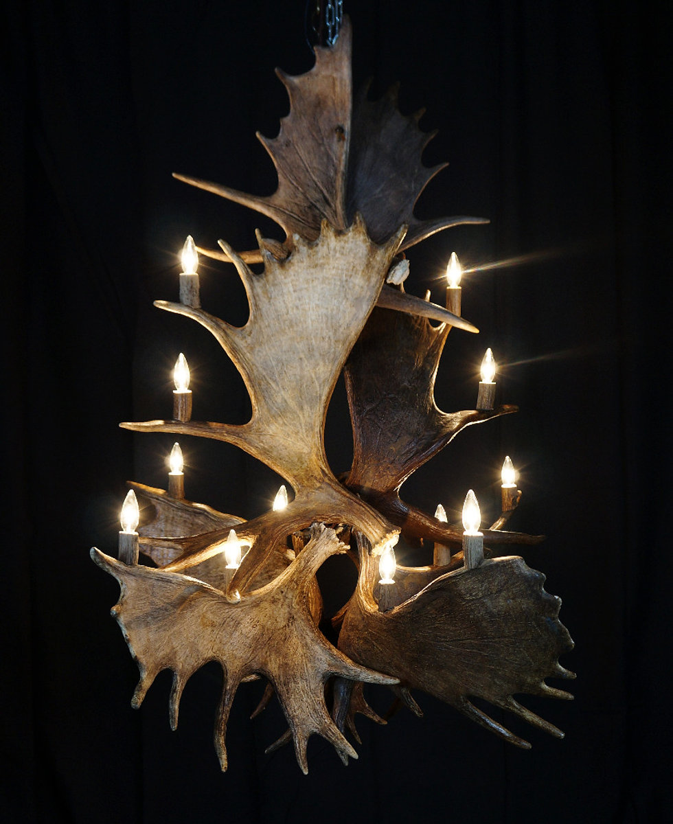 Wide multi-tier antler chandelier collection display