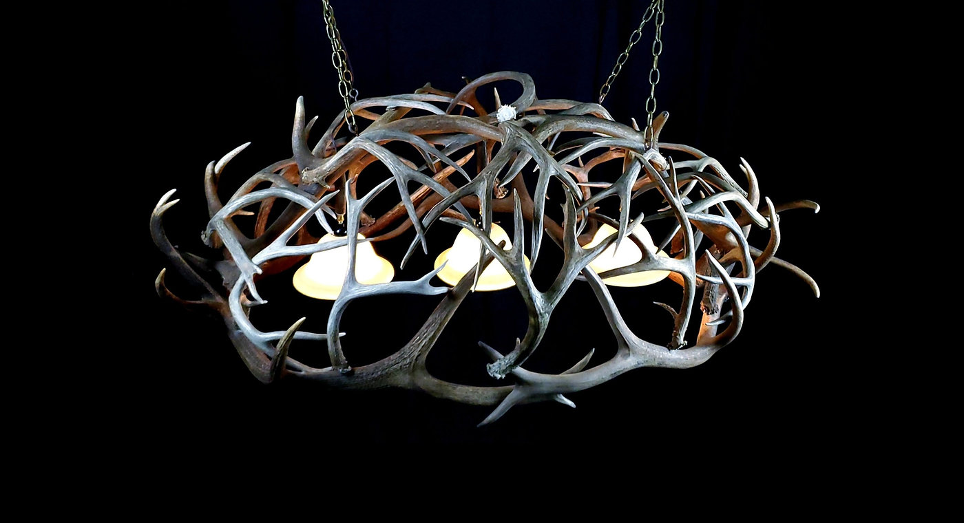 Wide nest-style shed antler chandelier photographed against black, three warm shades glowing within the woven antlers